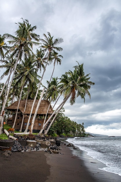 The shore of the ocean A house in the jungle is bordered by water Volcanic black sand