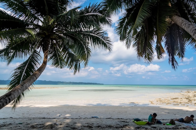 On the shore rests and relaxes tourist sitting under an exotic tree