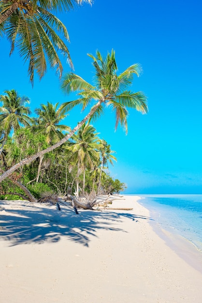 몰디브의 열대 섬 해안선과 인도양의 전망