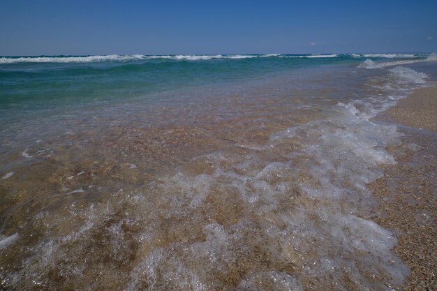 Foto sulle rive del mar nero