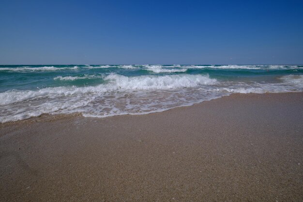 Foto sulle rive del mar nero