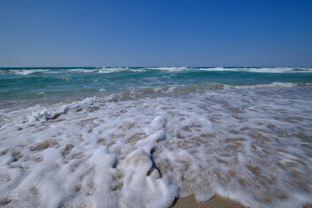 Foto sulle rive del mar nero