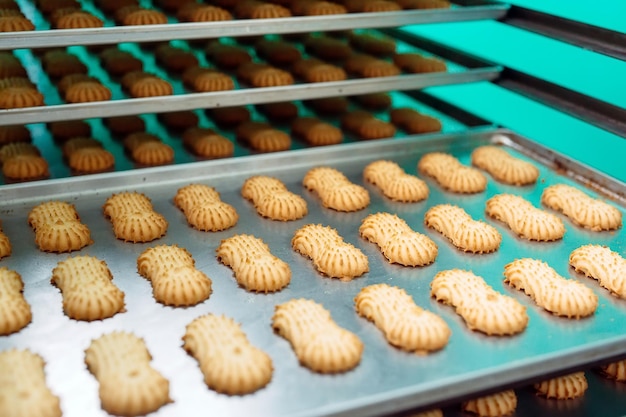 사진 쇼트브레드. 제과 공장에서 쇼트브레드 쿠키 생산. 오븐에서 구운 후 금속 선반에 있는 쇼트브레드 쿠키.