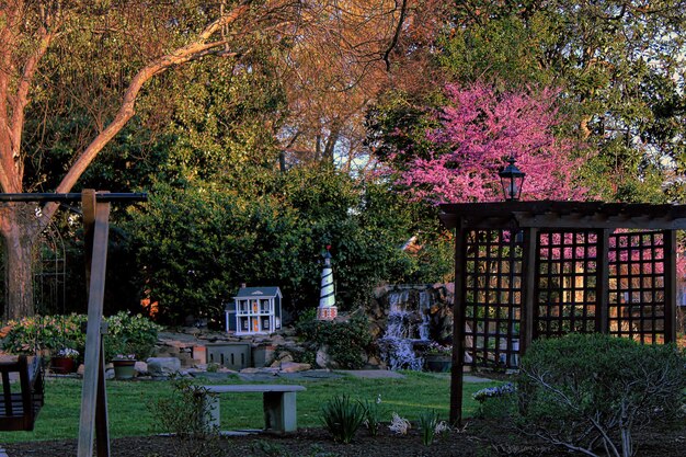 Photo shot of a back garden