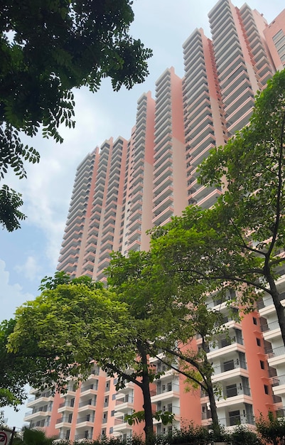 below shot of big buildings and trees