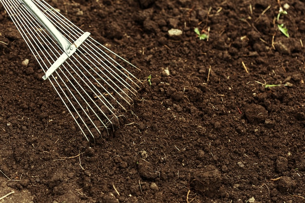 shot of digging at allotment. Close-up, Concept of gardening