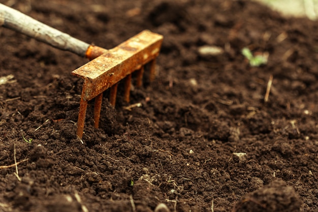 shot of digging at allotment. Close-up, Concept of gardening