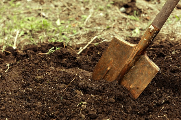 Shot of digging at allotment