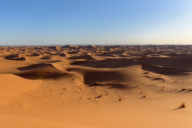 Shot of the dunes in the desert of Sahara, Morocco