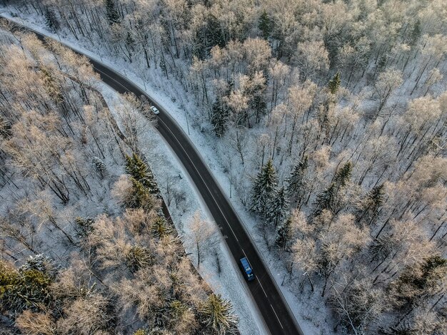 Фото Снимок с дрона зимний лес холодным солнечным утром