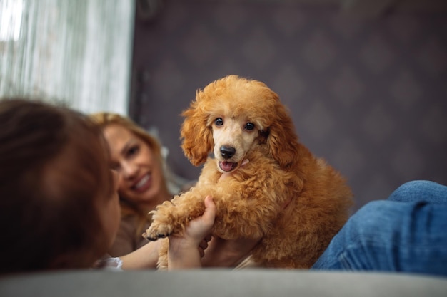 かわいい子犬と一緒にソファに横になっている母と娘のショット