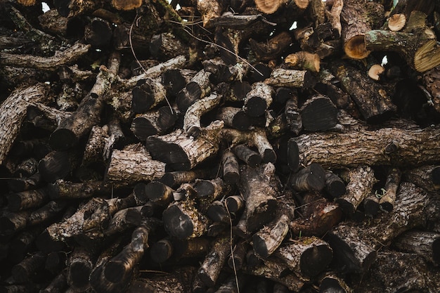 Shot of pattern of stacked chopped logs for the fireplace Rural area in Spain