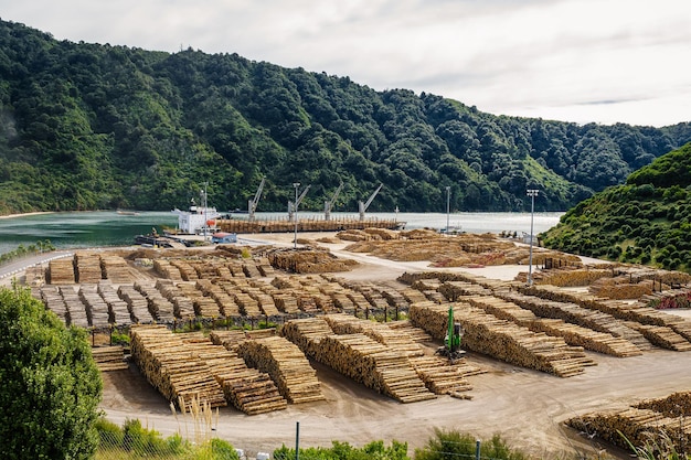 Shot van een grote hoeveelheid boomstammen die op een vrachtschip worden geladen voor transport