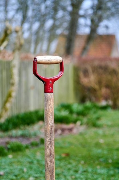 Shovel in a green garden outdoors in a backyard of a house Closeup of a wooden gardening tool or equipment outside in a yard with a fence and trees in the background A spade stuck in the ground