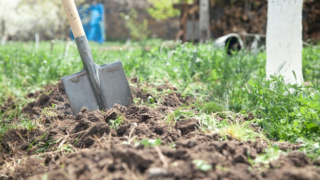Засыпьте землю в саду лопатой.