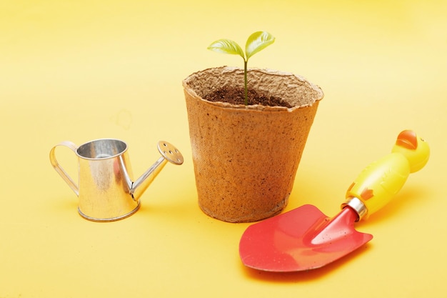 Shovel and watering can near sprout seedling of a plant in the soil in a peat pot