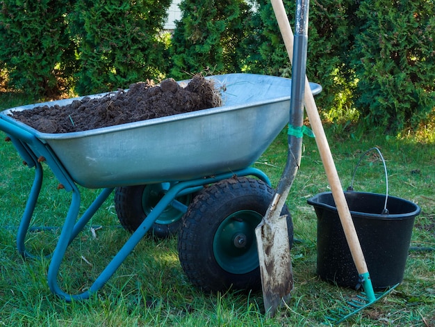 Shovel wheelbarrow in garden grass with bucket gardening concept