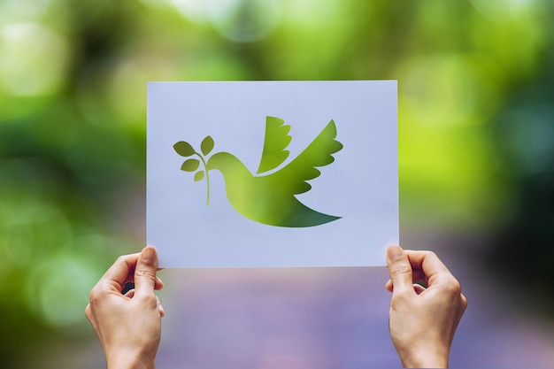 Show Cut paper with the logo of pigeon template of peace concept,International Peace Day