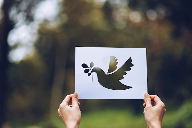 Foto mostra carta tagliata con il logo del modello di piccione del concetto di pace, giornata internazionale della pace