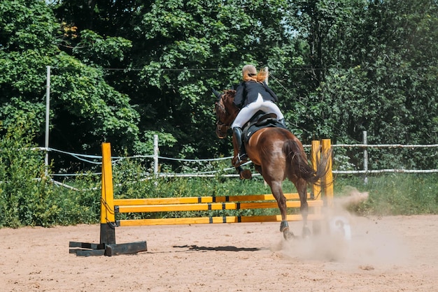 障害飛越競技の馬とライダーを表示する