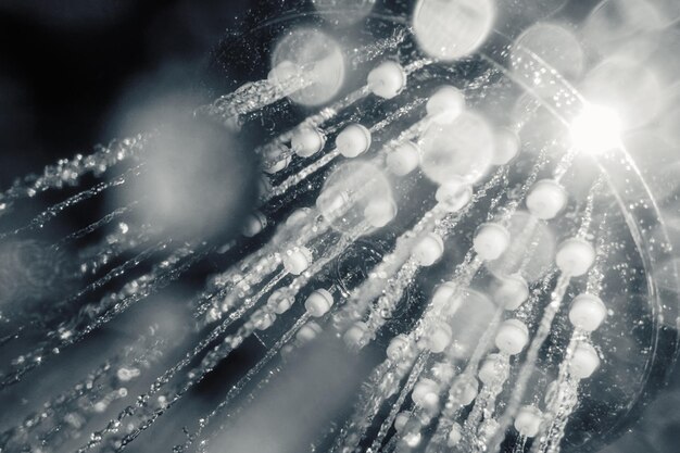 Shower head with flow of water closeup