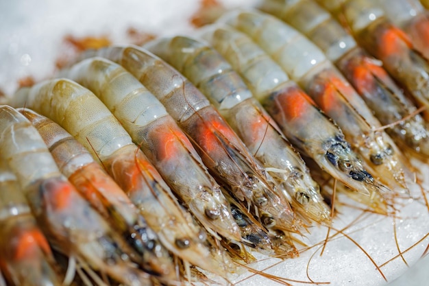 Shrimp fresh raw stacked in row on ice selective focus