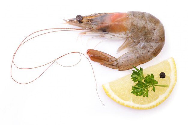 Shrimp isolated on white