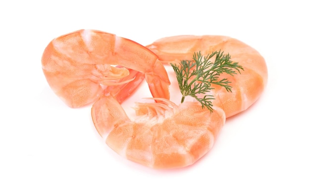 Shrimp on a white background