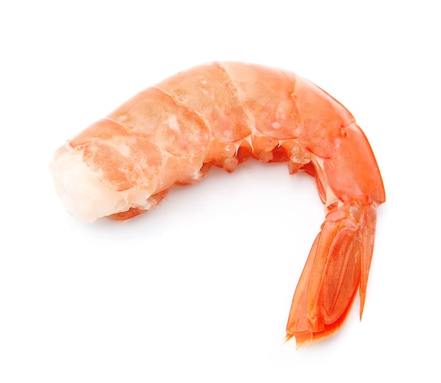 Shrimp on white background