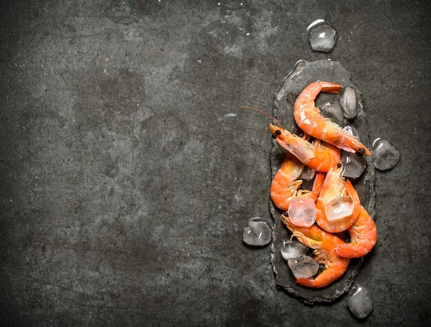 Shrimp with ice on a stone background