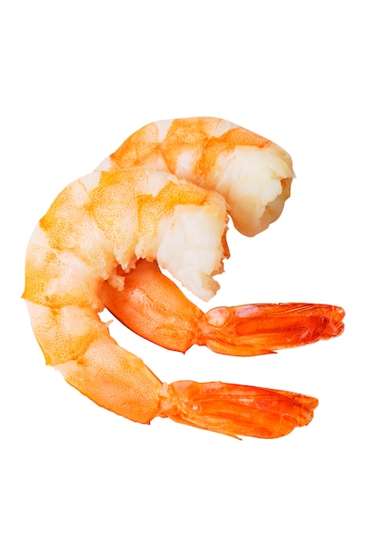Photo shrimp