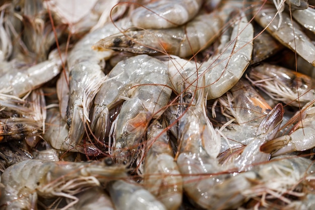 魚市場で新鮮な生えびを大量にエビ