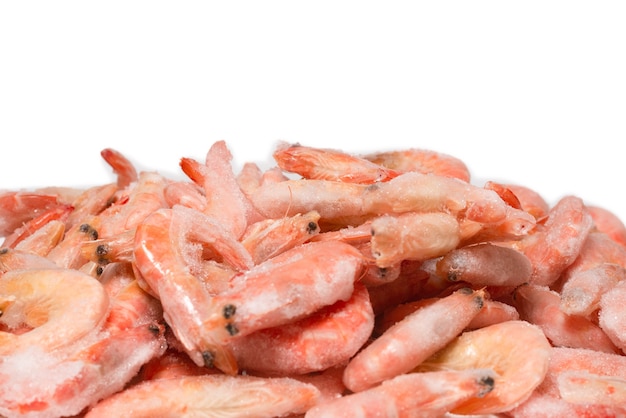 Shrimps isolated on a white wall.