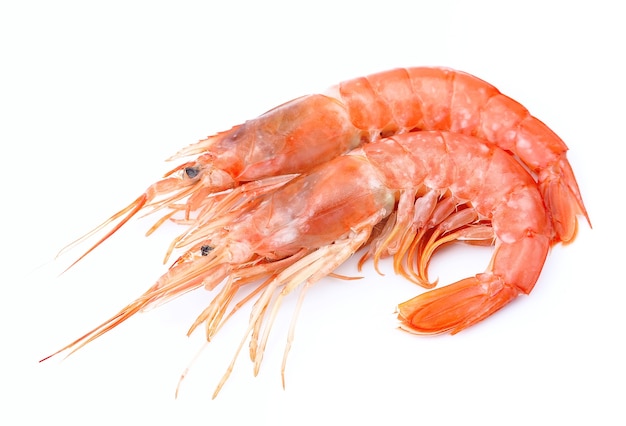 Shrimps on white background