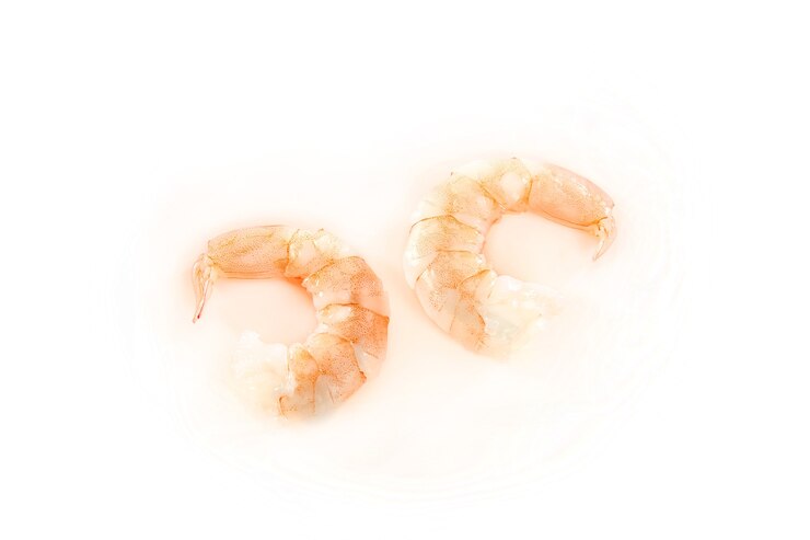 Photo 흰색 바탕에 새우