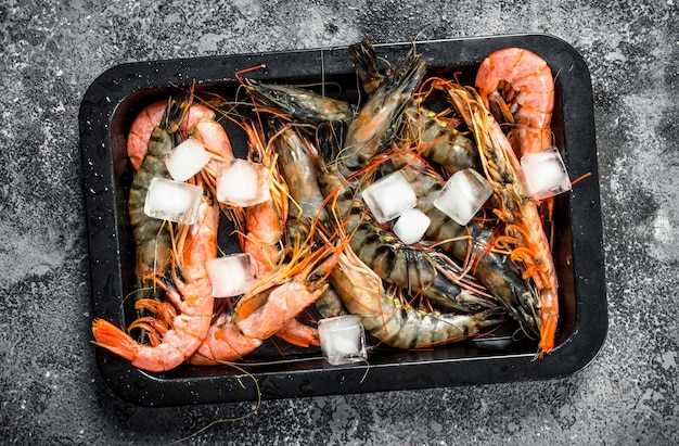 Shrimps with ice on a tray. On a rustic background.