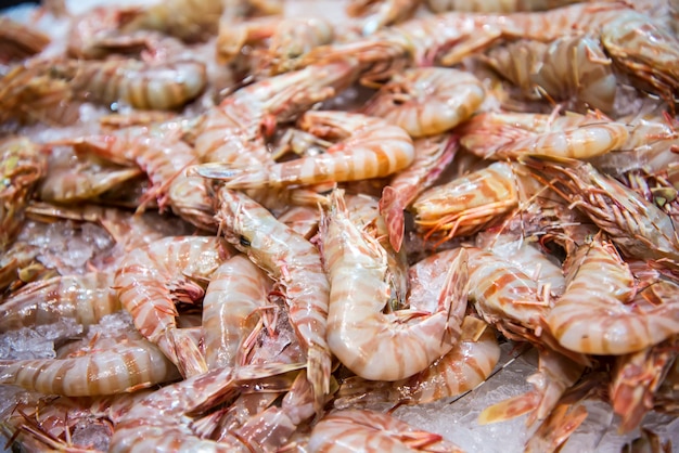 Shrimps