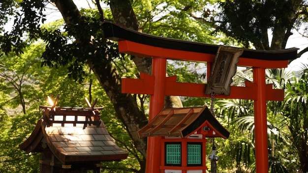 写真 神社