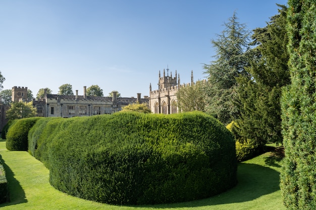 Shrubs trimmed in a castle garden