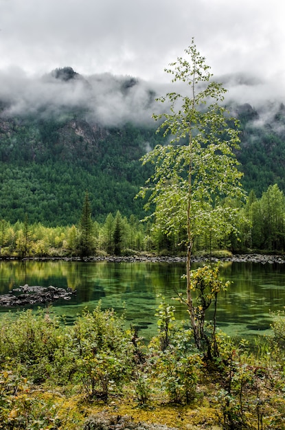 Siberia. Beautiful green fog lake in the forest. Buryatia