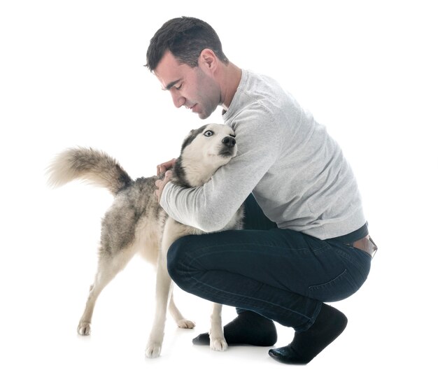 siberian husky and man