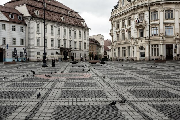 Sibiu Medieval street with historical buildings in the heart of Romania