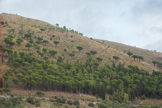 Sicilian natural hill in Monreale