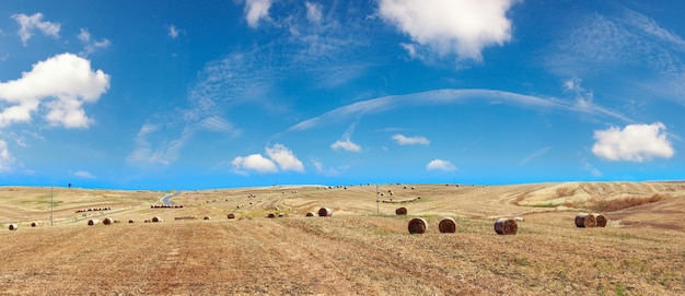 Sicilië zomer landbouw platteland Italië