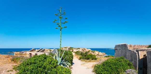 Sicily summer sea coast italy