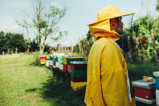 Foto vista laterale di un apicoltore in piedi accanto agli alveari sulla terraferma
