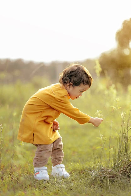 畑で花を摘む少年の横の景色