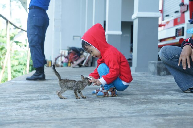 Side view of boy playing with kitten