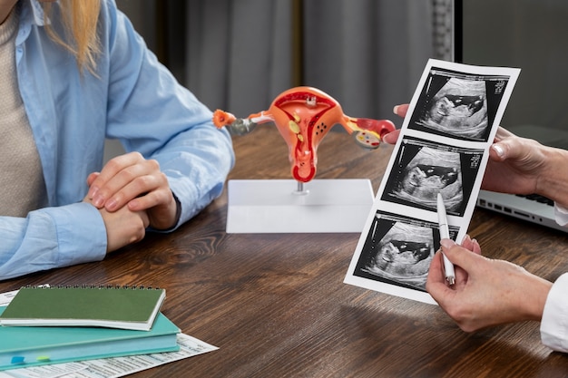 Photo side view doctor holding ultrasounds