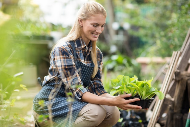 植物を保持している女性の庭師の側面図